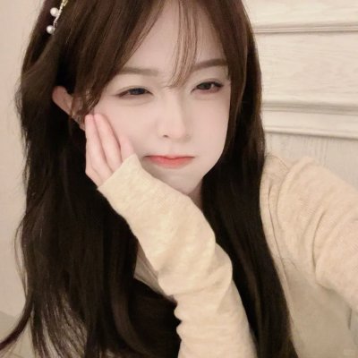 哈莱姆的郁金香